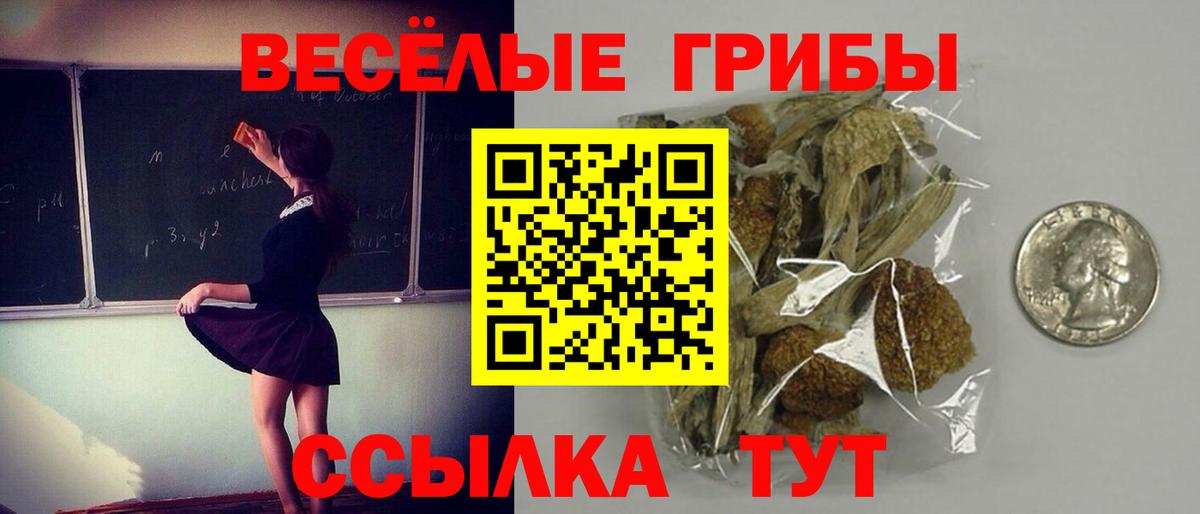 купить наркотики сайты  Галлюциногенные грибы Cubensis  Псилоцибиновые грибы ЛСД  Вход с VPN  Мытищи 